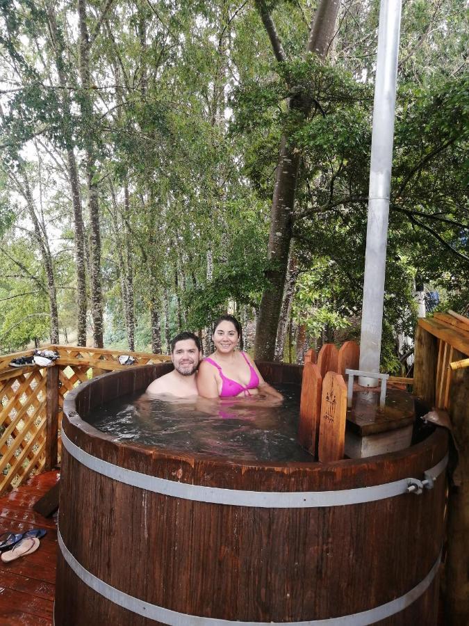 Cabanas Huilipan Gonzalez Nueva Imperial Exteriér fotografie