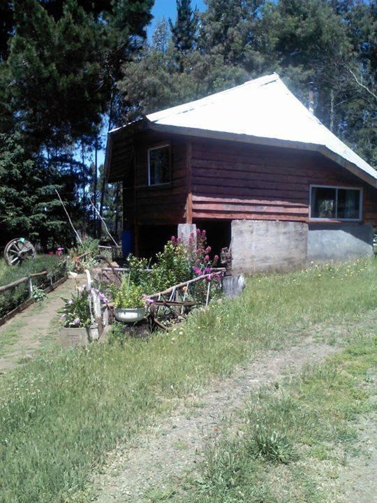 Cabanas Huilipan Gonzalez Nueva Imperial Exteriér fotografie